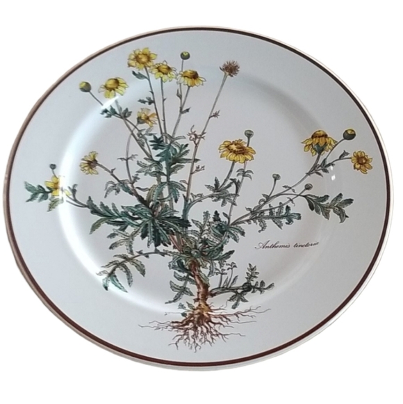 Villeroy & Boch Other - VILLEROY & BOCH
Botanica Porcelain Dinner Plate